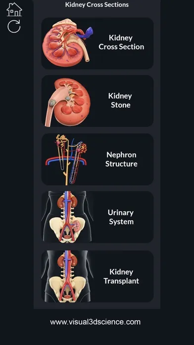 Tangkapan skrin My Kidney Anatomy